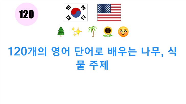 120개의 영어 단어로 배우는 나무, 식물 주제